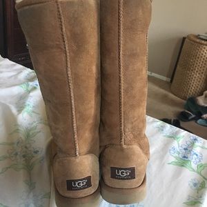 Tall chestnut uggs